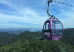Cable car in Dalat Vietnam that takes you to a temple. There is forests all around as you ride in the car.