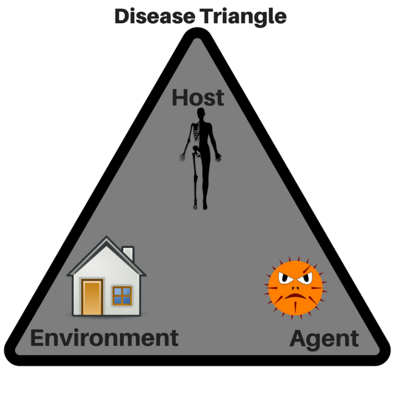 The Environment brings the Vector (Disease Triangle) Elliott Killian