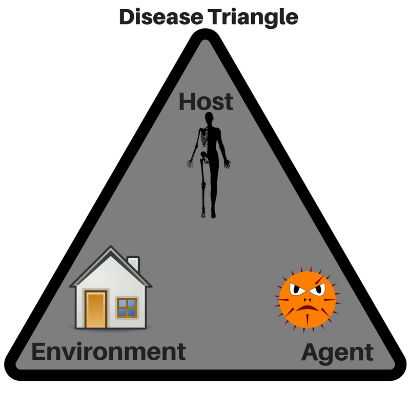 Human Disease Triangle. It has a human as the host, a bacteria or virus as the pathogen or agent, and a home as the environment. All three are needed for a disease.